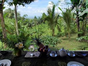 Ein Tisch mit Früchten darauf und Blick auf einen Wald in der Unterkunft Bali mountain forest cabin in Penebel + 31 Fotos