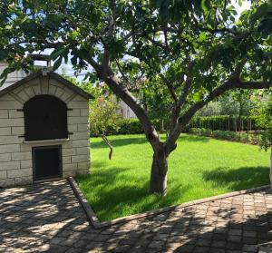 een boom in het gras naast een hondenhok bij Apartments Trogir in Trogir