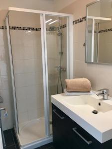 La salle de bains est pourvue d'un lavabo et d'une douche. dans l'établissement RESIDENCE DU PORT, au Bourget-du-Lac