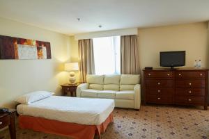 a hotel room with a large bed and a television at Hotel Torremayor Lyon in Santiago