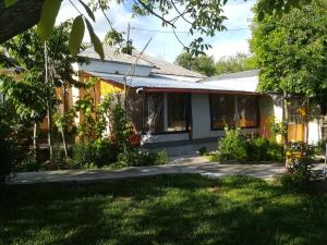 a house with a garden in the yard at Rustic house in Turnu Măgurele