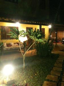 un piccolo albero di fronte a una casa di notte di Sitio Oasis a Morro de São Paulo