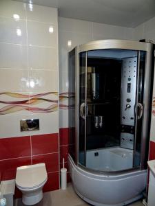 ノヴォシビルスクにあるLoft Studioのバスルーム(シャワー、トイレ、バスタブ付)