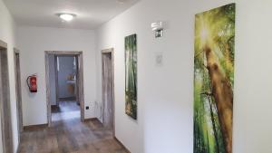 a hallway with three paintings on the walls at Pension Pek in Kubova Huť