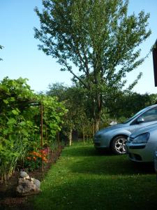 Fotografie z fotogalerie ubytování Marigolds v destinaci Sigulda