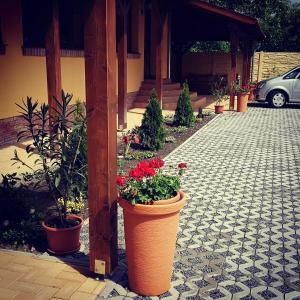 A garden outside Toscana Apartman