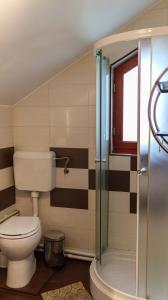 La salle de bains est pourvue d'une douche et de toilettes. dans l'établissement Pension Ladyna, à Sebiş
