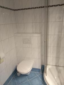 a bathroom with a toilet and a shower at Ferienwohnung Zechner in Waidring