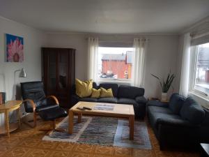 瓦德瑟43 Oscarsgate的客厅里有一张沙发和一张咖啡桌。