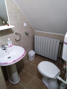 Ένα μπάνιο στο Guest House Aleksandra