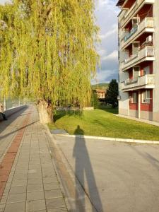 Hoone, kus apartement asub