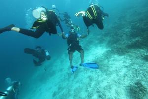 a group of people scuba diving in the ocean at Scuba Inn in Omadhoo