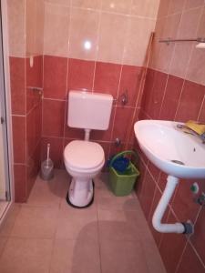 a bathroom with a toilet and a sink at Guesthouse Ada in Bar