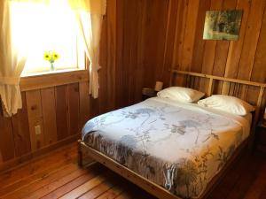 a bedroom with a bed in a room with a window at Half Moon Guest House in Clearwater