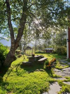 a park with a picnic table under a tree at Flatheim in Viksdalen