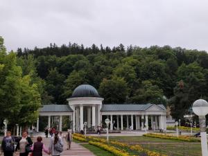 Vonkajšia záhrada v ubytovaní CENTRAL Marienbad Apartaments
