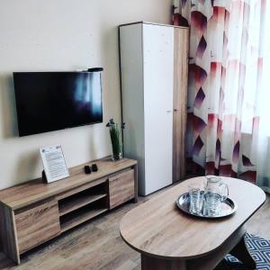 Televízia a/alebo spoločenská miestnosť v ubytovaní CENTRAL Marienbad Apartaments