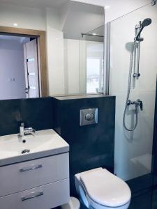 a bathroom with a toilet and a sink and a shower at NORD HOUSE Apartamenty in Władysławowo +33 photos