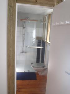 a bathroom with a toilet and a shower at Appartement à Le Portel in Le Portel