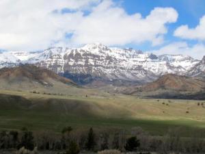 a snow covered mountain range with a green field and trees at The Remington Cabin in Wapiti