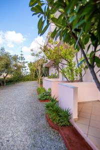 a house with a gravel driveway with trees at Aphrodite Studios & Apartment in Bali