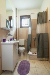 a bathroom with a toilet and a sink and a shower at Room Anton in Rakovica