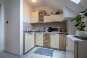 Kuchyňa alebo kuchynka v ubytovaní Apartments and Room Robert