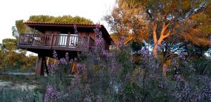 a house with a balcony in a field of purple flowers at Ying Yang Monte da Lua in Comporta