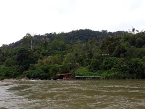 Φωτογραφία από το άλμπουμ του Matleon village σε Jerantut