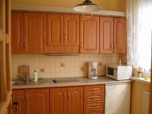 Kuchnia lub aneks kuchenny w obiekcie Apartamenty Vega