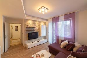VF Kragujevac Apartments في كراغويفاتش: غرفة معيشة مع أريكة وتلفزيون بشاشة مسطحة