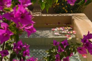 eine Gruppe lila Blumen neben einem Brunnen in der Unterkunft Riad Cinnamon by Marrakech Riad in Marrakesch