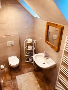 a bathroom with a sink and a toilet and a mirror at Apartment Almhaus Innerkrems in Innerkrems