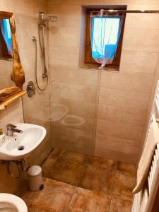 ein Bad mit einem Waschbecken und einer Dusche in der Unterkunft Apartment Almhaus Innerkrems in Innerkrems