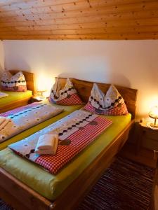 a bedroom with two twin beds in a room at Apartment Almhaus Innerkrems in Innerkrems