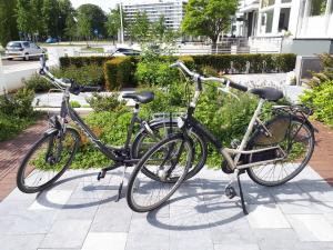 
Ciclismo em Guesthouse De Roos ou nos arredores
