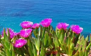 Paesaggio naturale nelle vicinanze del bed & breakfast