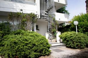 een witte kat op de trappen van een gebouw bij Family Suite Appartments Orchidea Blu in Rimini