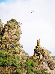 Fotografia z galérie ubytovania Casa Rural Finca Los Conventos en Adamuz CORDOBA v destinácii Adamuz