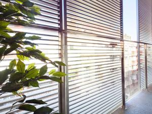 uma janela com persianas de madeira com uma planta em Bonavista Apartments - Virreina em Barcelona