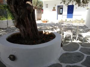 Fotografija u galeriji objekta Hotel Poulakis u gradu Skala