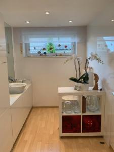 a bathroom with a sink and a counter with a window at Schöne Zimmer im Zentrum Leben in Offenburg