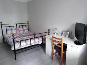 1 dormitorio con 1 cama y escritorio con TV en Come.in, en Kiskunfélegyháza