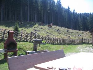 a wood fired grill with a horse in a field at Gerstbreinhütte in Bad Sankt Leonhard im Lavanttal