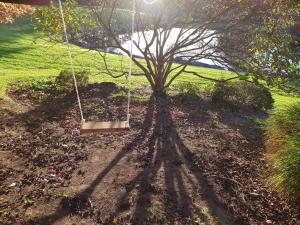 a tree in a yard with a swing at The Drawing Rooms of Berry in Berry