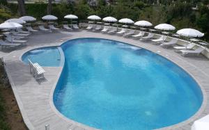 帕爾蓋利亞的住宿－Borgo degli Dei - Affittacamere Poseidone，一个带躺椅和遮阳伞的大型游泳池