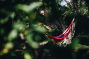 una hamaca colgando de un árbol en un bosque en Sunny Soul, en Malveira da Serra
