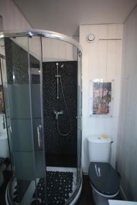 y baño con ducha y aseo. en Studio vue mer et Cap en Canet-en-Roussillon
