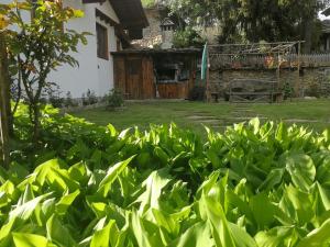 Afbeelding uit fotogalerij van Слънчевата къща in Kovačevica