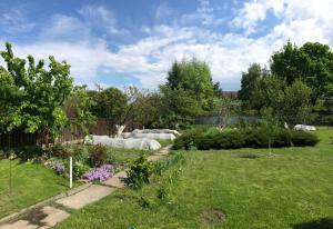 a garden with many plants in a yard at Guest house on Ivana Franka in Novyye Petrovtsy